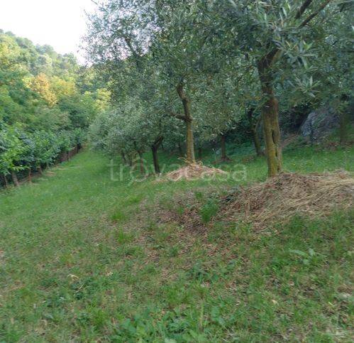 casa indipendente in vendita ad Isola Vicentina in zona Castelnovo