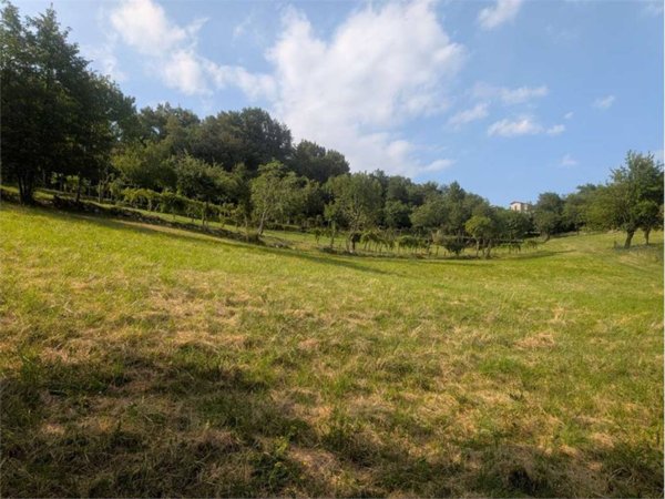 terreno agricolo in vendita ad Isola Vicentina
