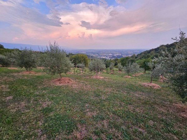 terreno in vendita ad Isola Vicentina in zona Torreselle