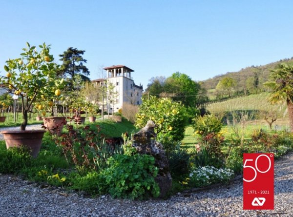 casa indipendente in vendita a Longare