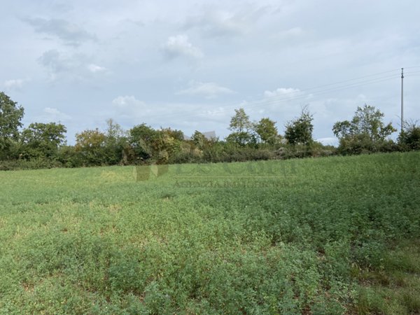 terreno agricolo in vendita a Lonigo