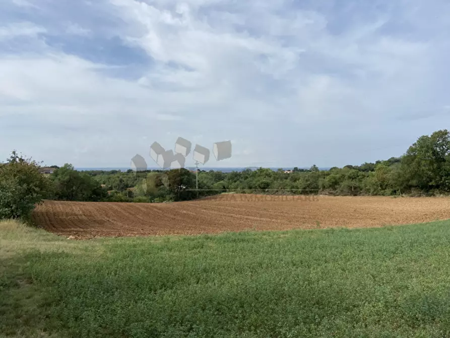 mansarda in vendita a Lonigo