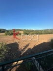 appartamento in vendita a Lonigo