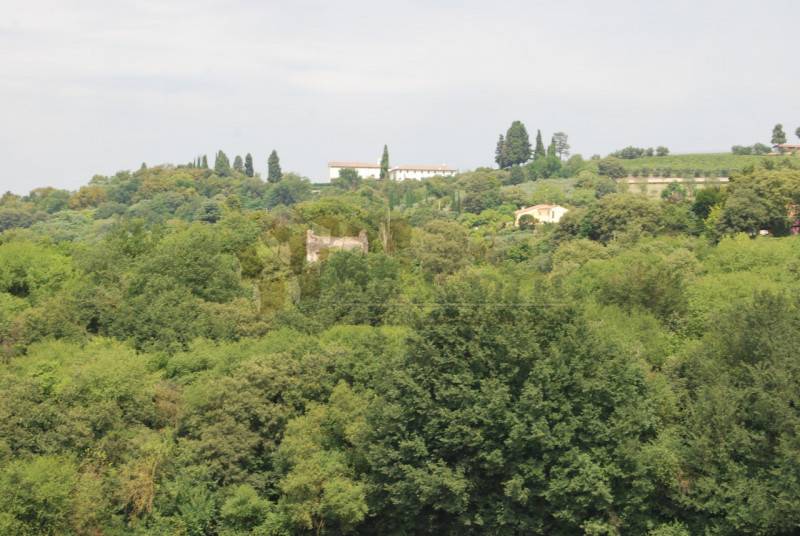 casa indipendente in vendita a Lonigo