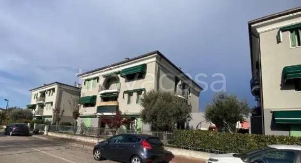 appartamento in vendita a Lonigo
