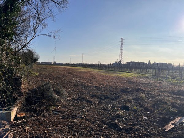 casa indipendente in vendita a Lonigo