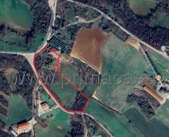 casa indipendente in vendita a Lonigo