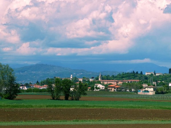 casa indipendente in vendita a Lonigo
