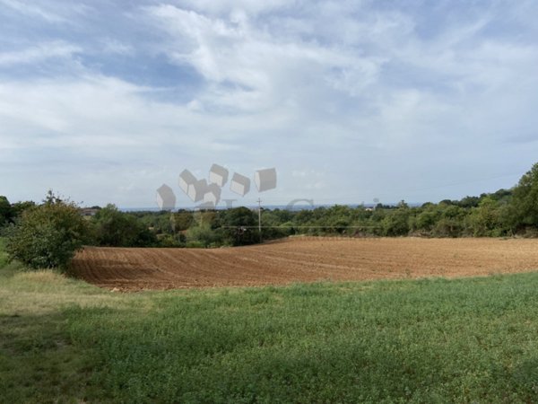 casa indipendente in vendita a Lonigo