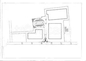 terreno agricolo in vendita a Lonigo