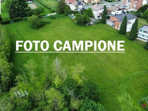 terreno agricolo in vendita a Lonigo