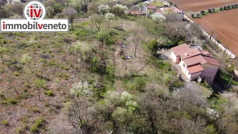 casa indipendente in vendita a Lonigo