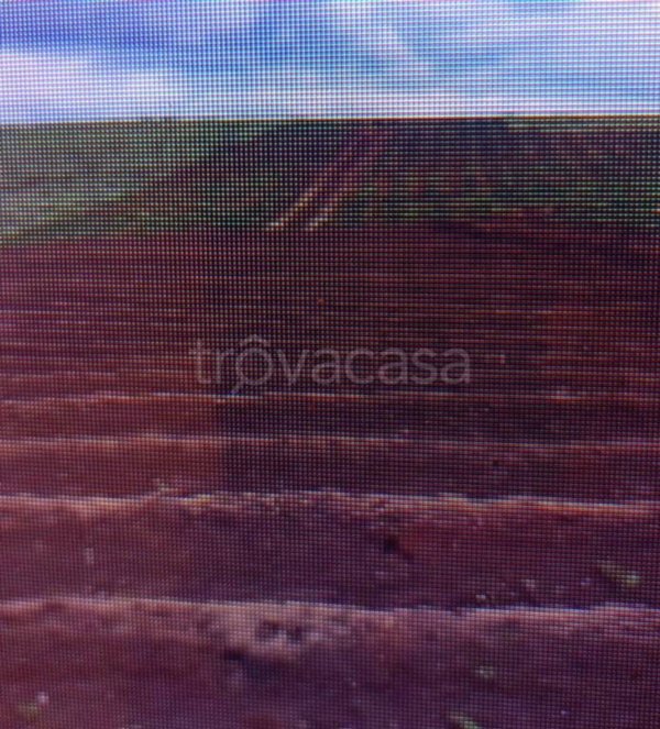 terreno agricolo in vendita a Lonigo