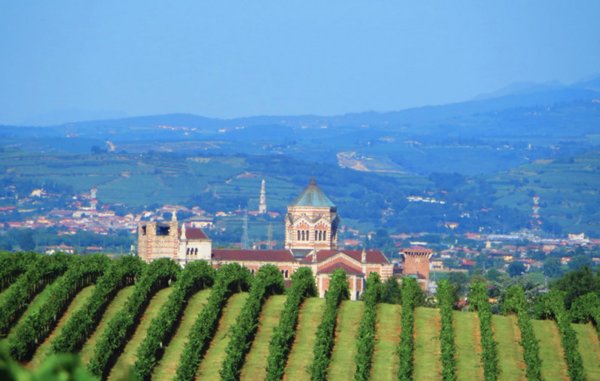 appartamento in vendita a Lonigo