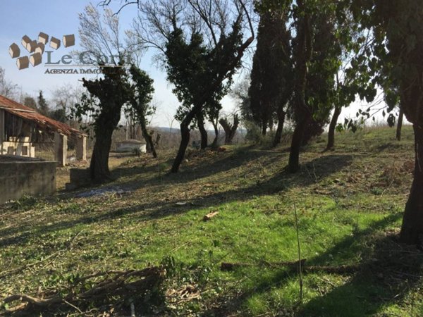 casa indipendente in vendita a Lonigo