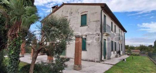 appartamento in vendita a Lonigo