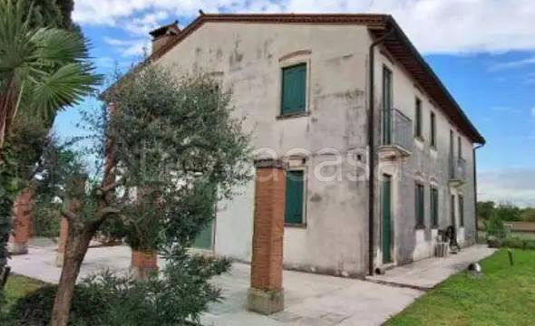 appartamento in vendita a Lonigo