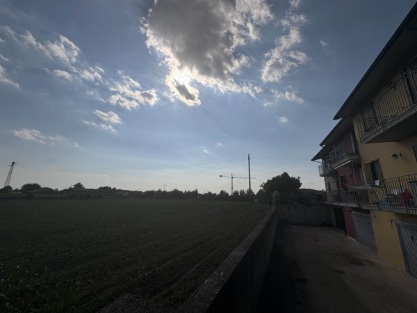 terreno agricolo in vendita a Lonigo in zona Madonna