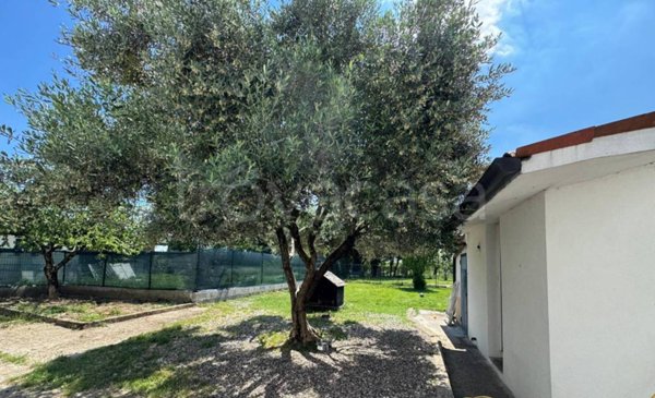 casa indipendente in vendita a Lonigo