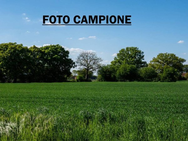 terreno agricolo in vendita a Lonigo