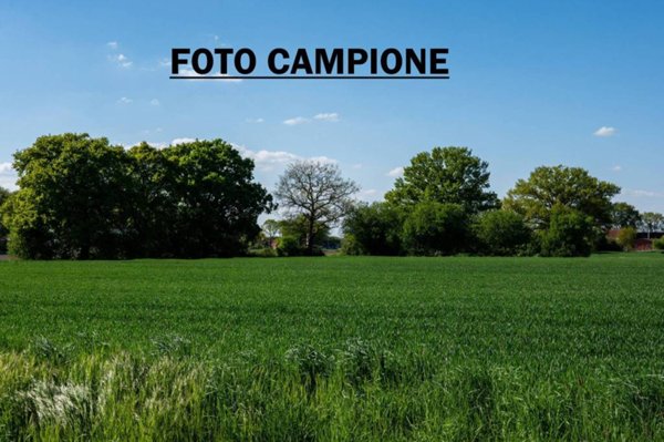 terreno agricolo in vendita a Lonigo