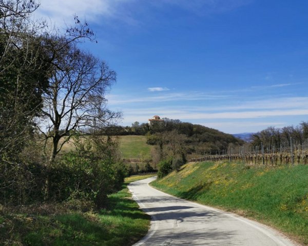 casa indipendente in vendita a Lonigo