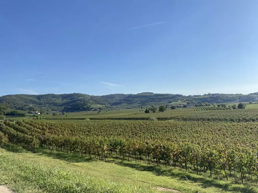 capannone in vendita a Lonigo