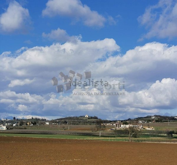 terreno agricolo in vendita a Lonigo