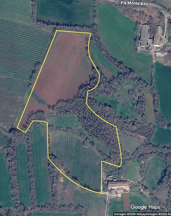 terreno in vendita a Lonigo in zona Almisano