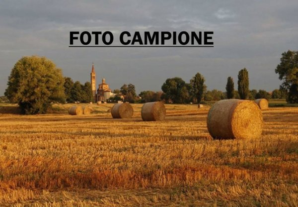 terreno in vendita a Lonigo
