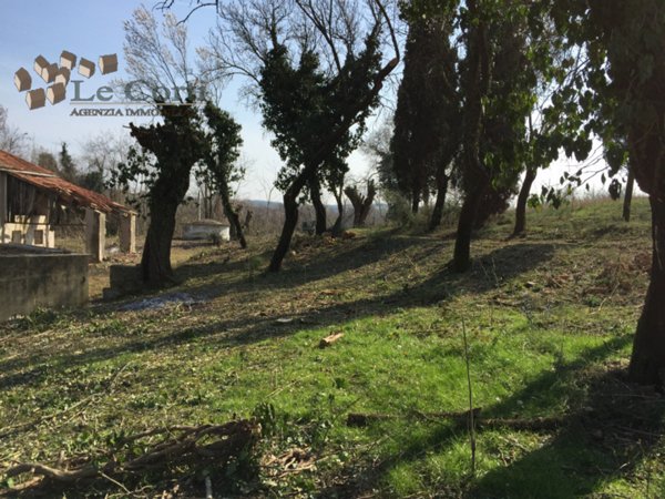 casa indipendente in vendita a Lonigo