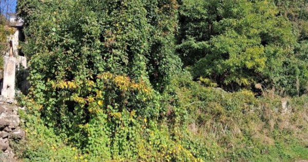 terreno edificabile in vendita a Lugo di Vicenza