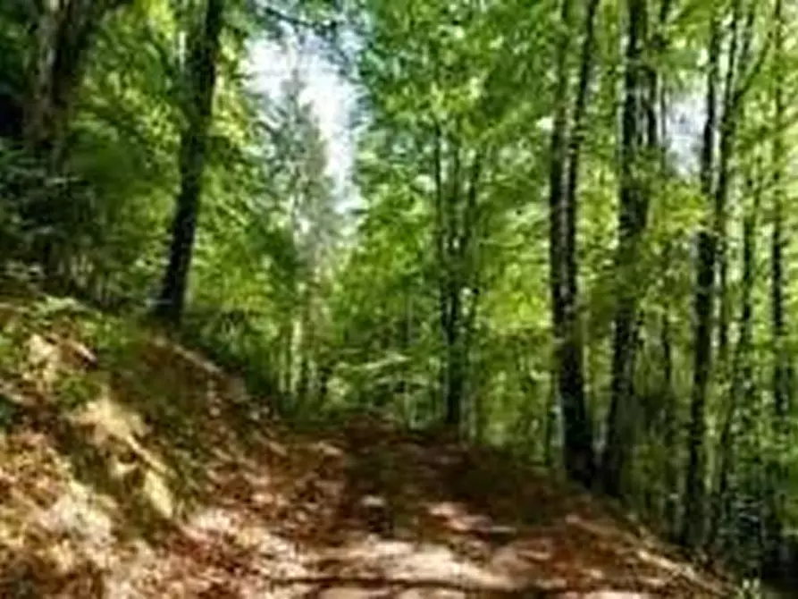 mansarda in vendita a Malo in zona San Tomio