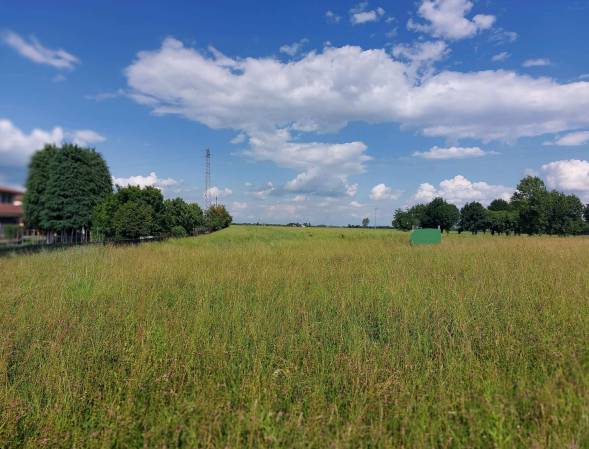 terreno agricolo in vendita a Malo