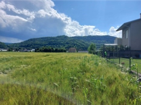 terreno edificabile in vendita a Malo