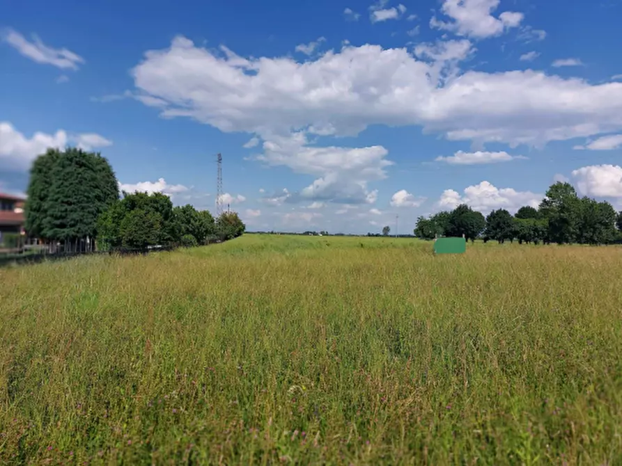 terreno agricolo in vendita a Malo