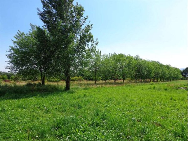 terreno edificabile in vendita a Malo