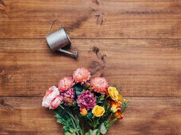 appartamento in vendita a Malo