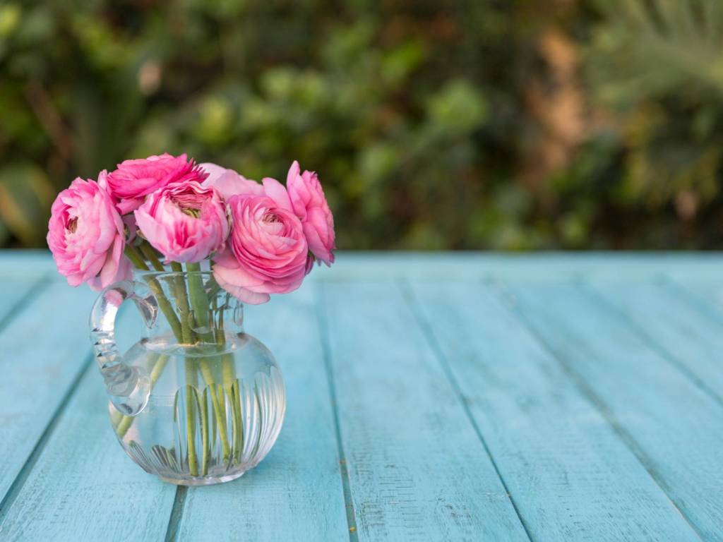 appartamento in vendita a Malo