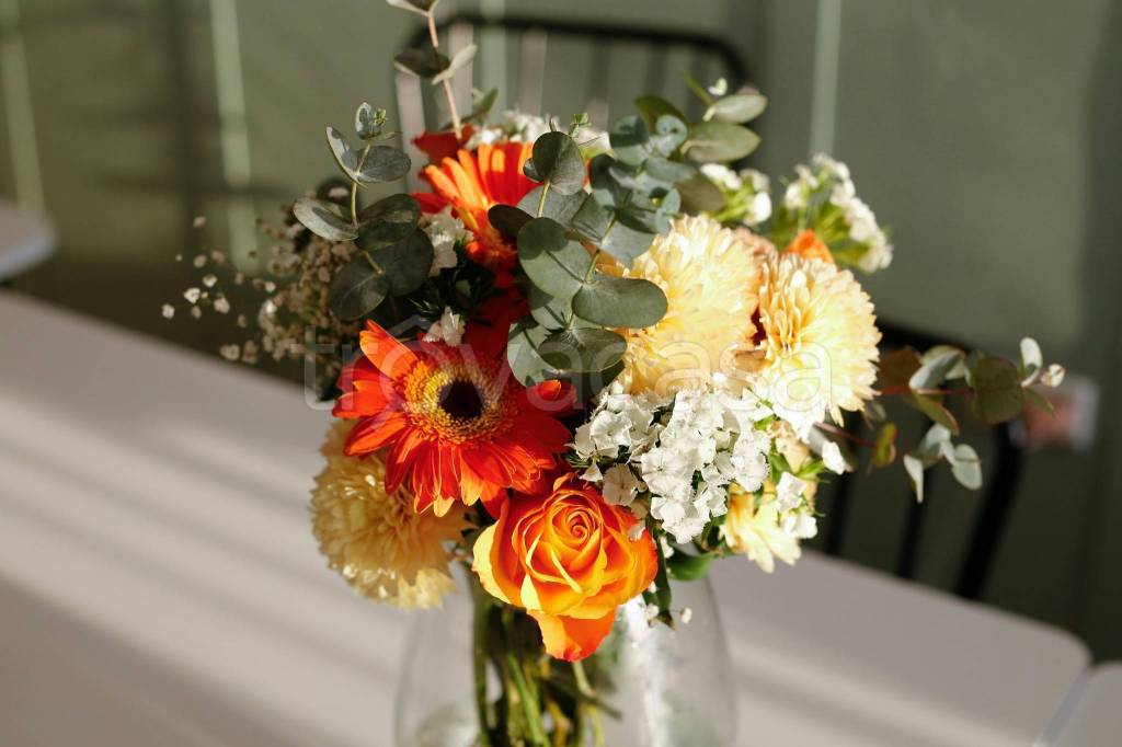 appartamento in vendita a Malo