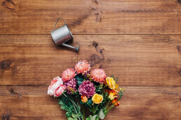 appartamento in vendita a Malo