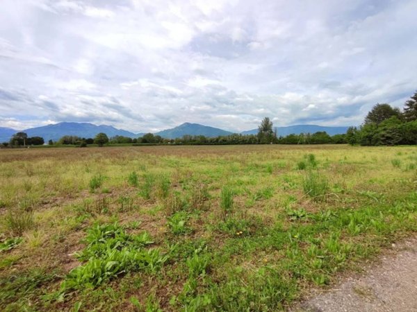 terreno agricolo in vendita a Malo