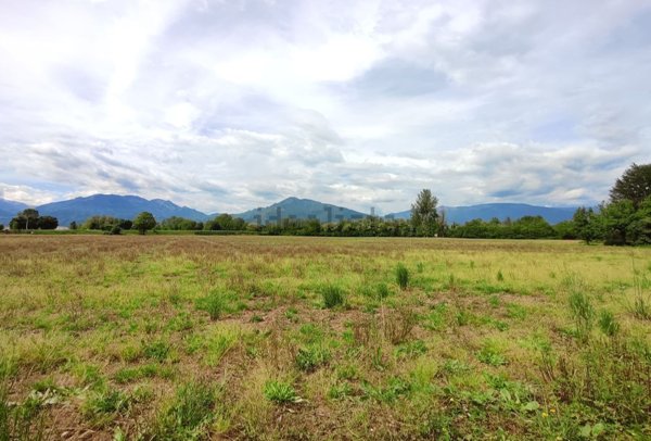 terreno edificabile in vendita a Malo