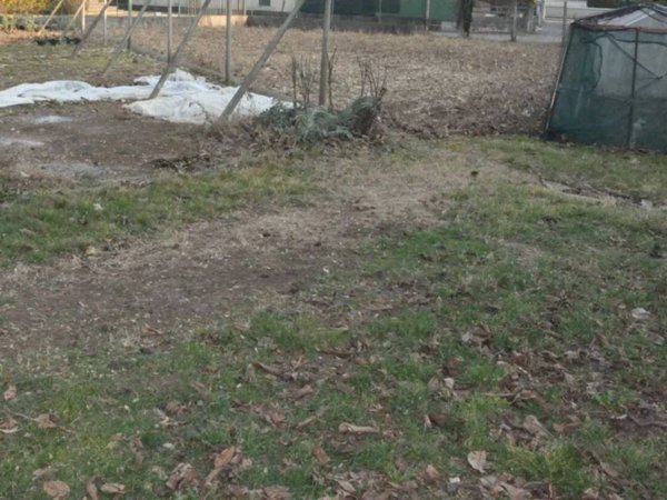 terreno edificabile in vendita a Marano Vicentino