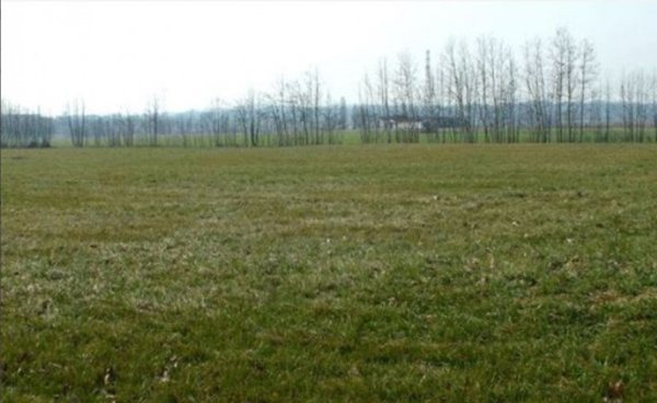 terreno edificabile in vendita a Marano Vicentino