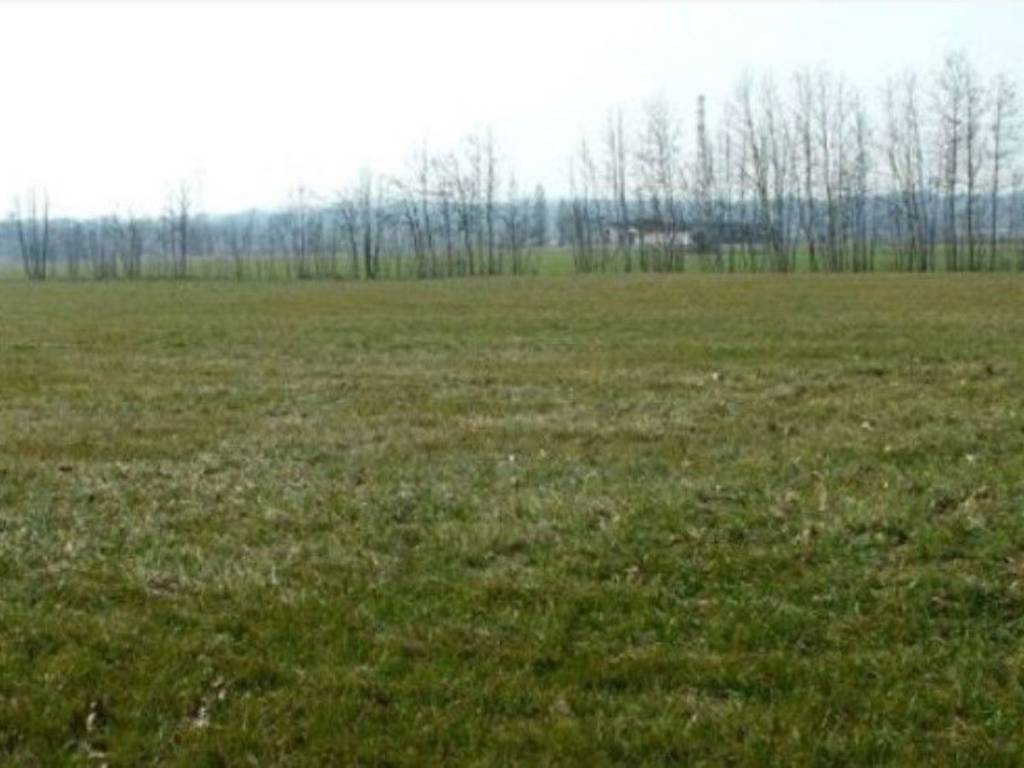 terreno edificabile in vendita a Marano Vicentino
