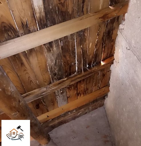 immagine annuncio 0 di 10