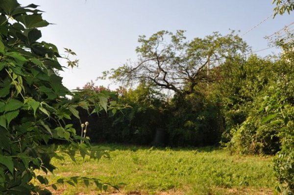 casale in vendita a Marano Vicentino