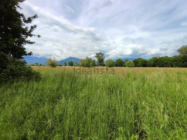 terreno agricolo in vendita a Marano Vicentino