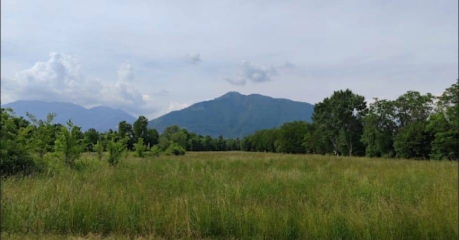 terreno agricolo in vendita a Marano Vicentino
